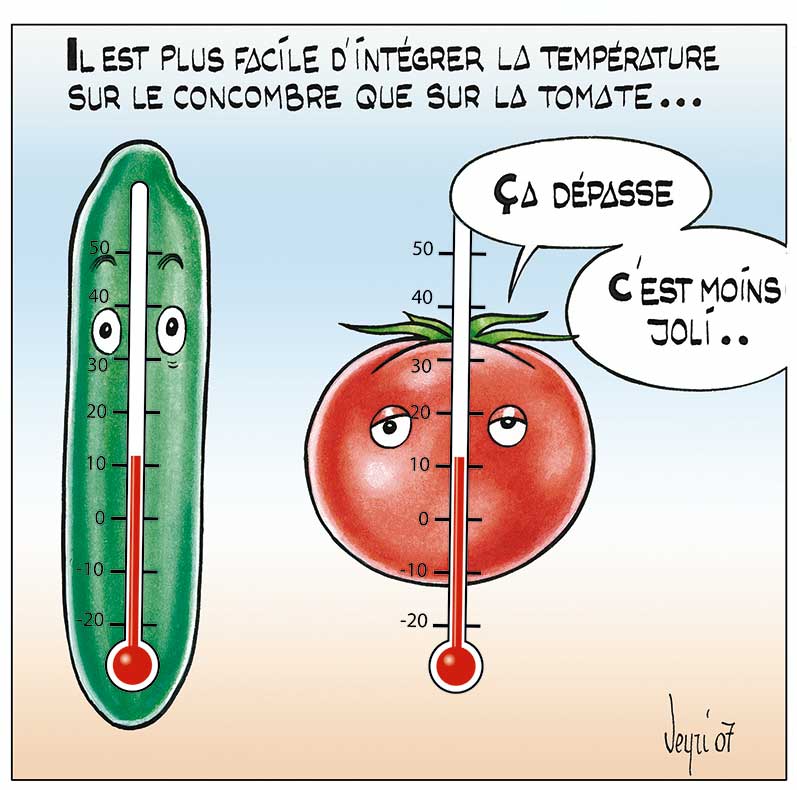 Concombre et temperature