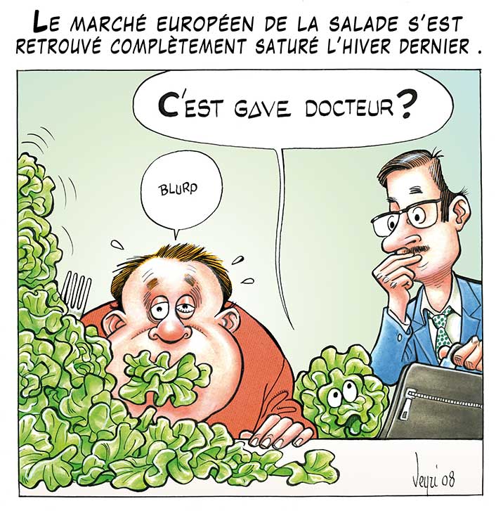dossier salade