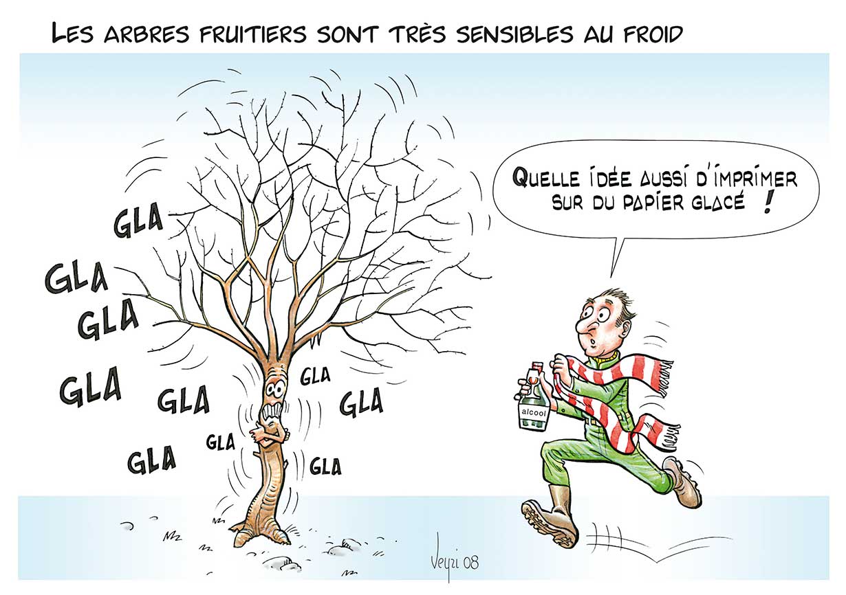 gel de printemps