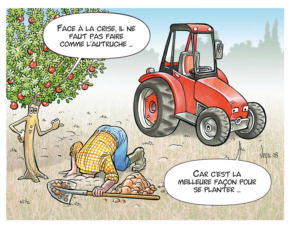face au risque