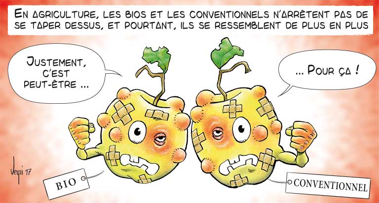 bios et conventionnels