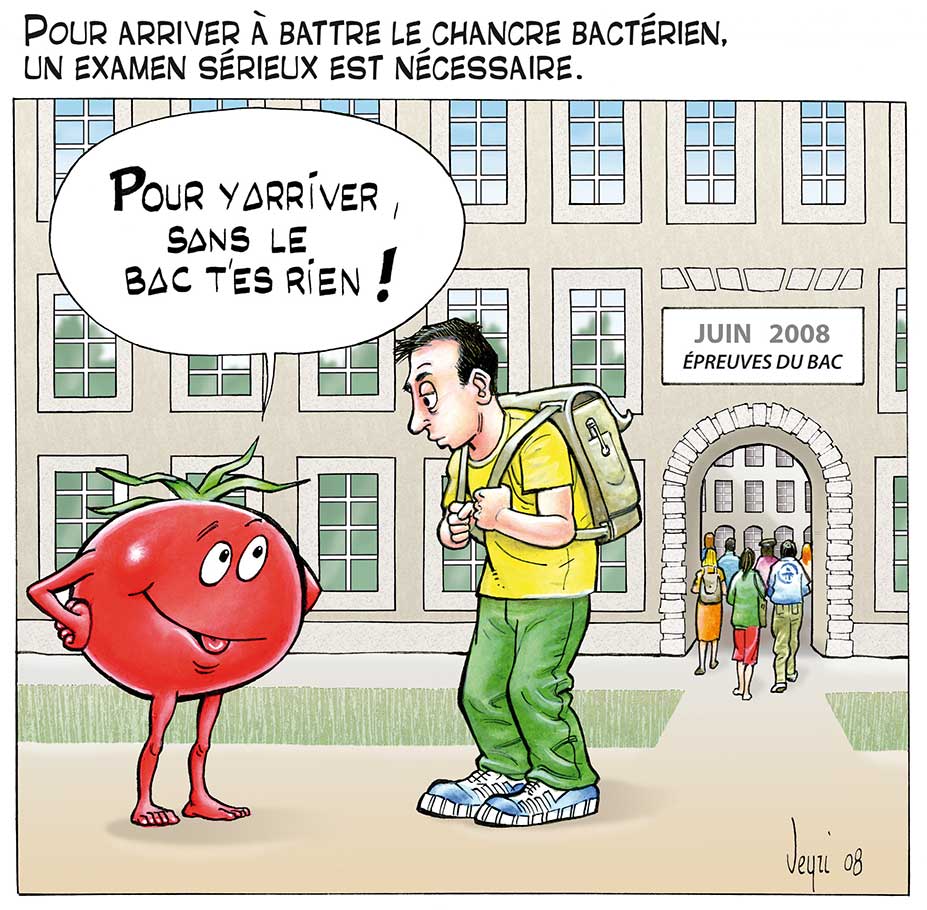 chancre bacterien