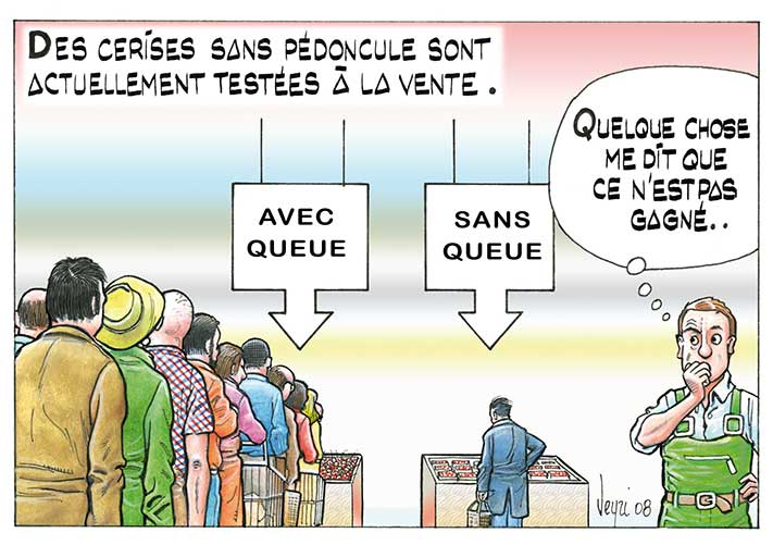 vente cerises